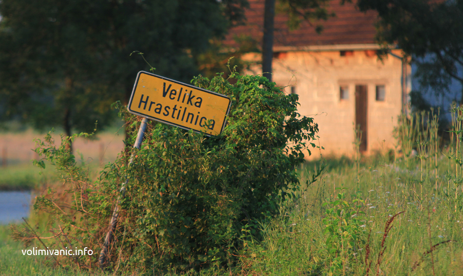 Ina Velika Hrastilnica