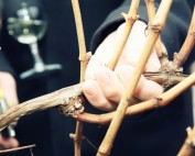 Vincekovi Ivanić-Grad