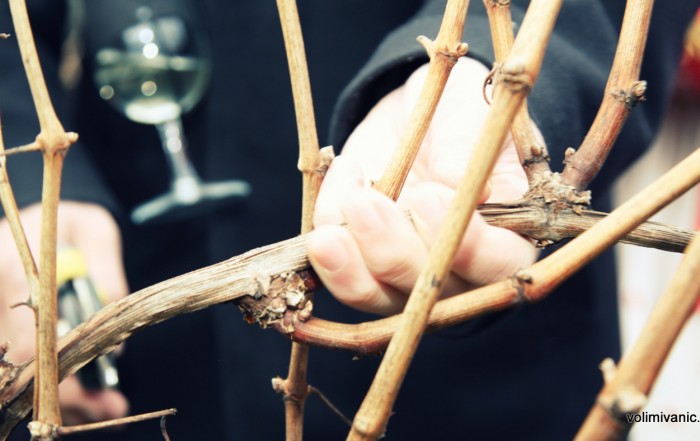 Vincekovi Ivanić-Grad