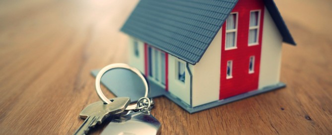 Foto: Tierra Mallorca