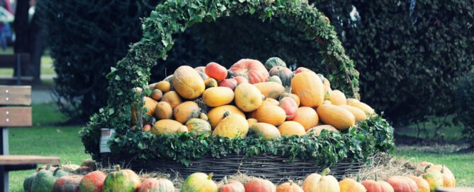 Bučijada u Ivanić-Gradu – sajam bučinog ulja i proizvoda od buče u središtu grada