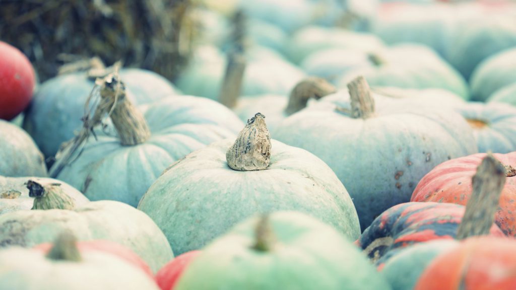 Bučijada u Ivanić-Gradu – sajam bučinog ulja i proizvoda od buče u središtu grada