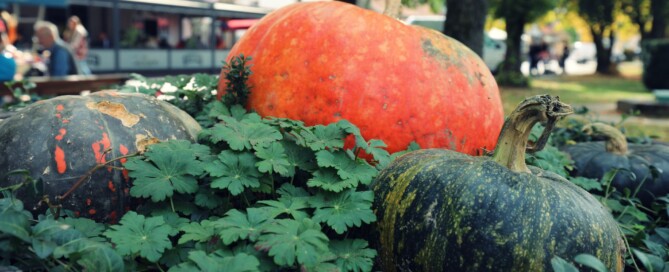 Bučijada u Ivanić-Gradu – sajam bučinog ulja i proizvoda od buče u središtu grada