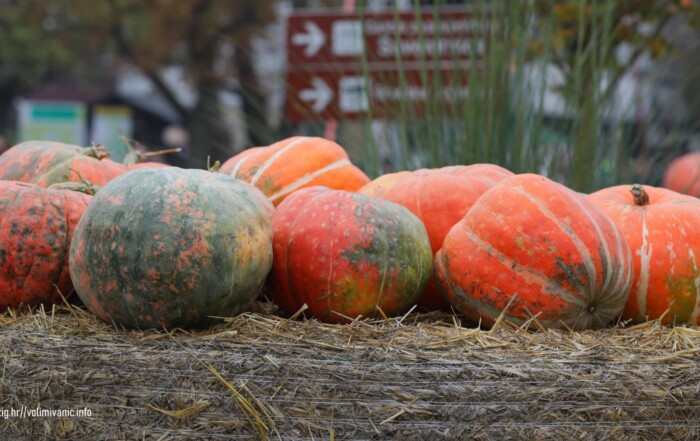 Bučijada u Ivanić-Gradu – sajam bučinog ulja i proizvoda od buče u središtu grada