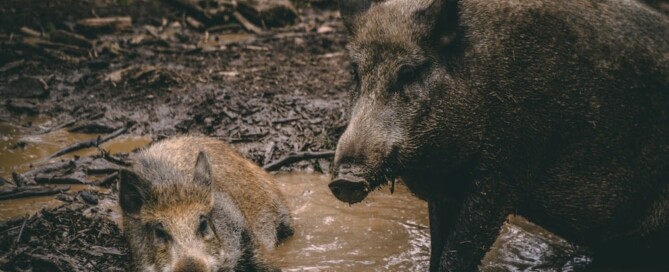 Foto:Jonathan Kemper