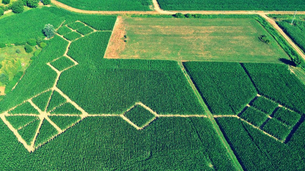 Ivanić-Grad danas – svakodnevni život i gradski prostor