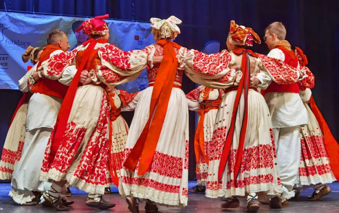 Udruge i civilno društvo u Ivanić-Gradu