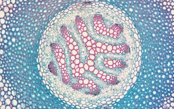 Izložba Nikola Koletić Križ u Galeriji Križ