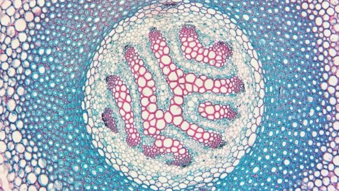 Izložba Nikola Koletić Križ u Galeriji Križ